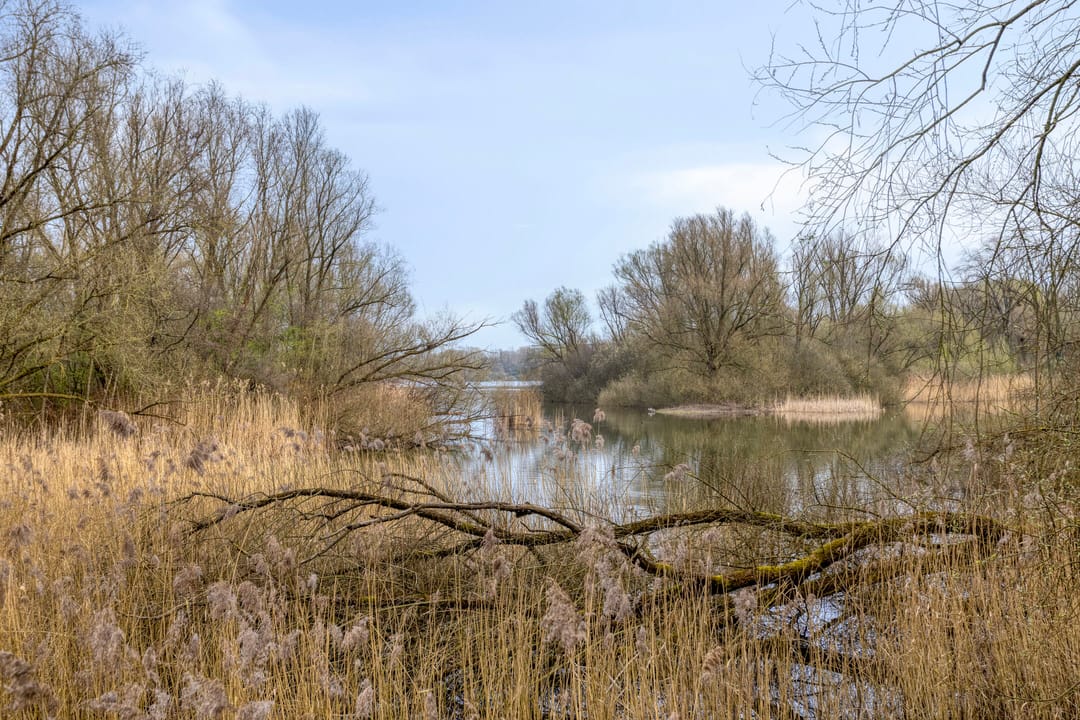 Foto 26 van Groningensingel 943-12