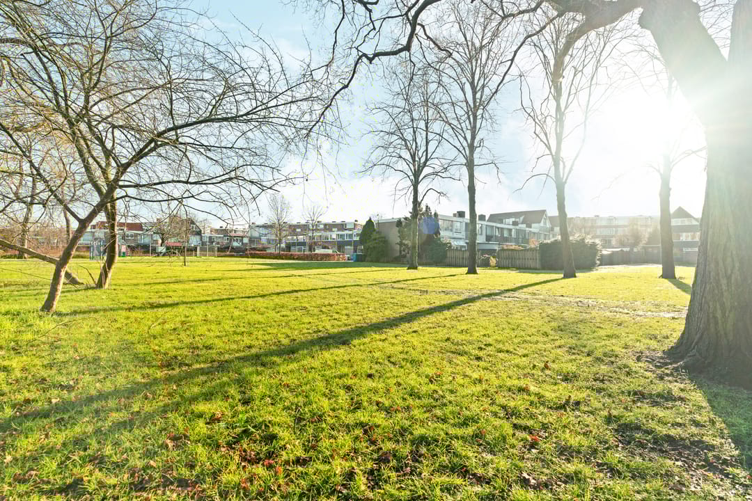 Foto 26 van Platostraat 232