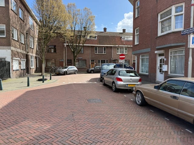 Foto 8 van Lamarckstraat 59