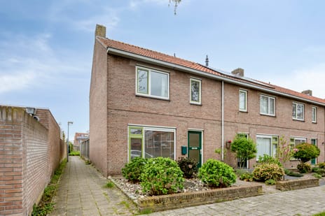 undefined main image