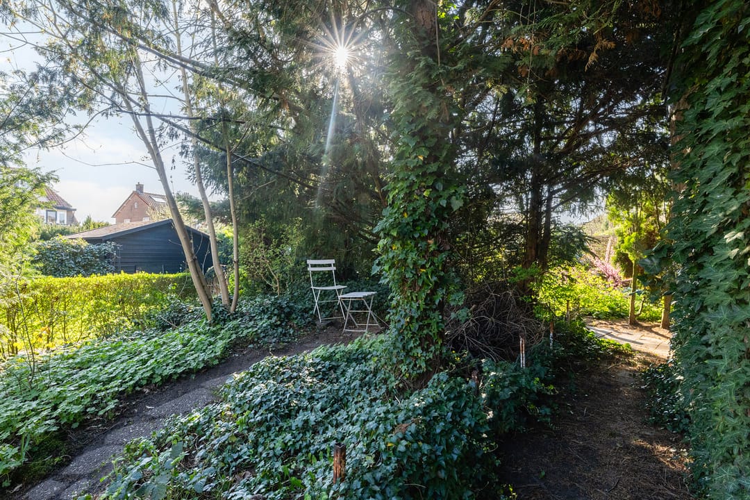 Foto 17 van Lorentzstraat 46