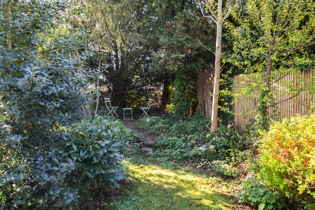 Foto 16 van Lorentzstraat 46