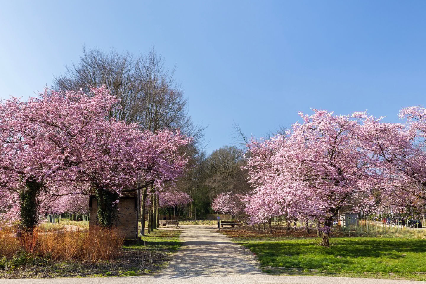 Foto 35 van Lorentzstraat 46