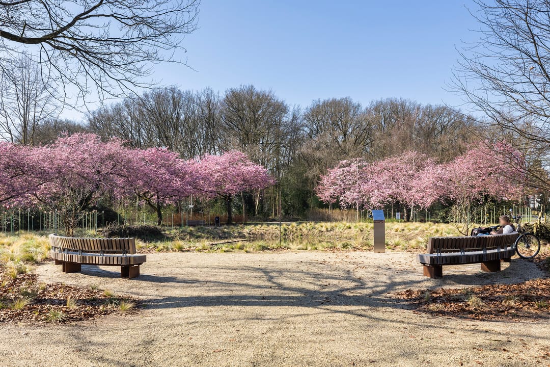 Foto 37 van Lorentzstraat 46