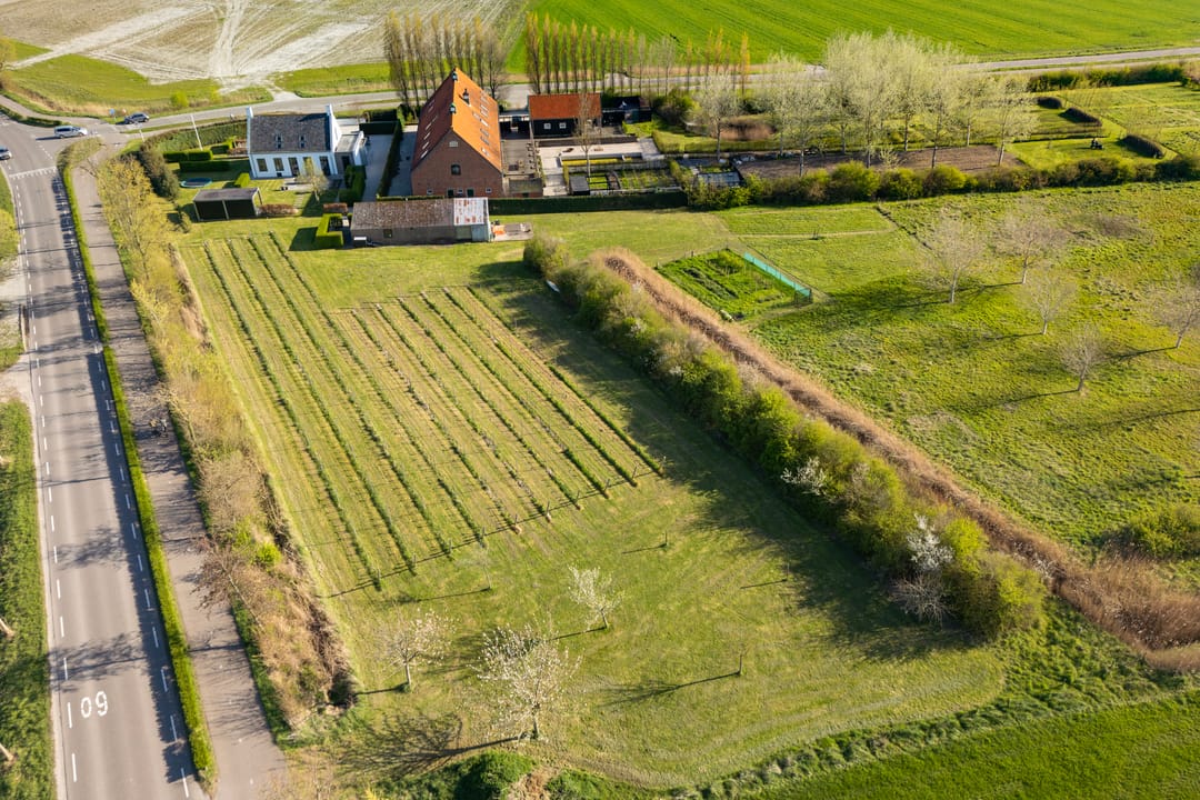 Foto 76 van Hogelandseweg 2