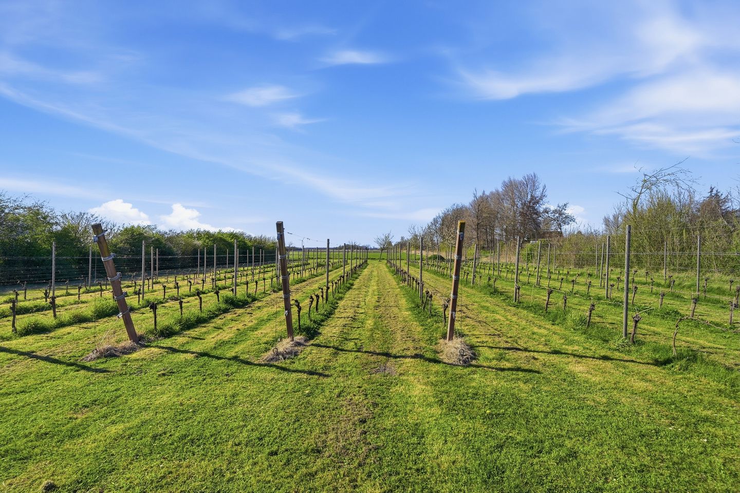 Foto 50 van Hogelandseweg 2