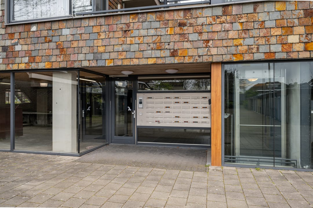 Photo 26 of Dennenpad 38