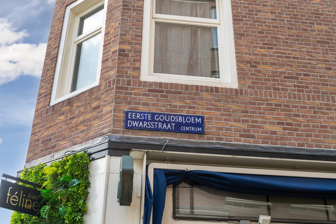 Foto 22 van Eerste Goudsbloemdwarsstraat 15-H