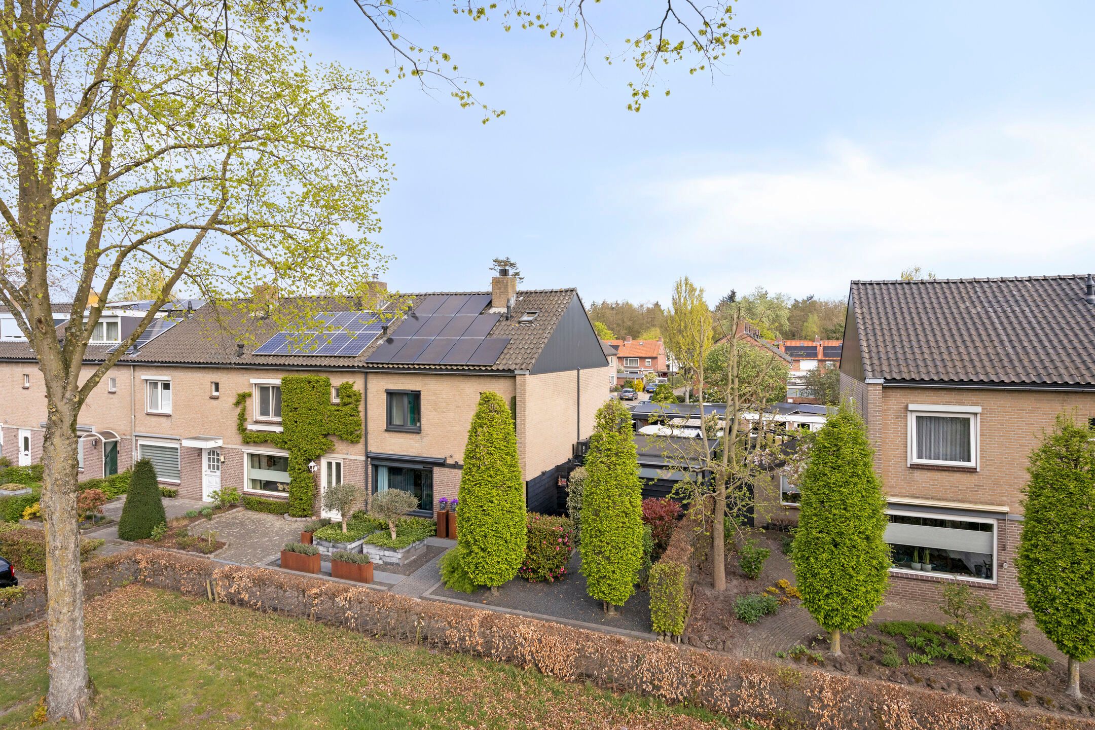 Foto 42 van de Bontstraat 41