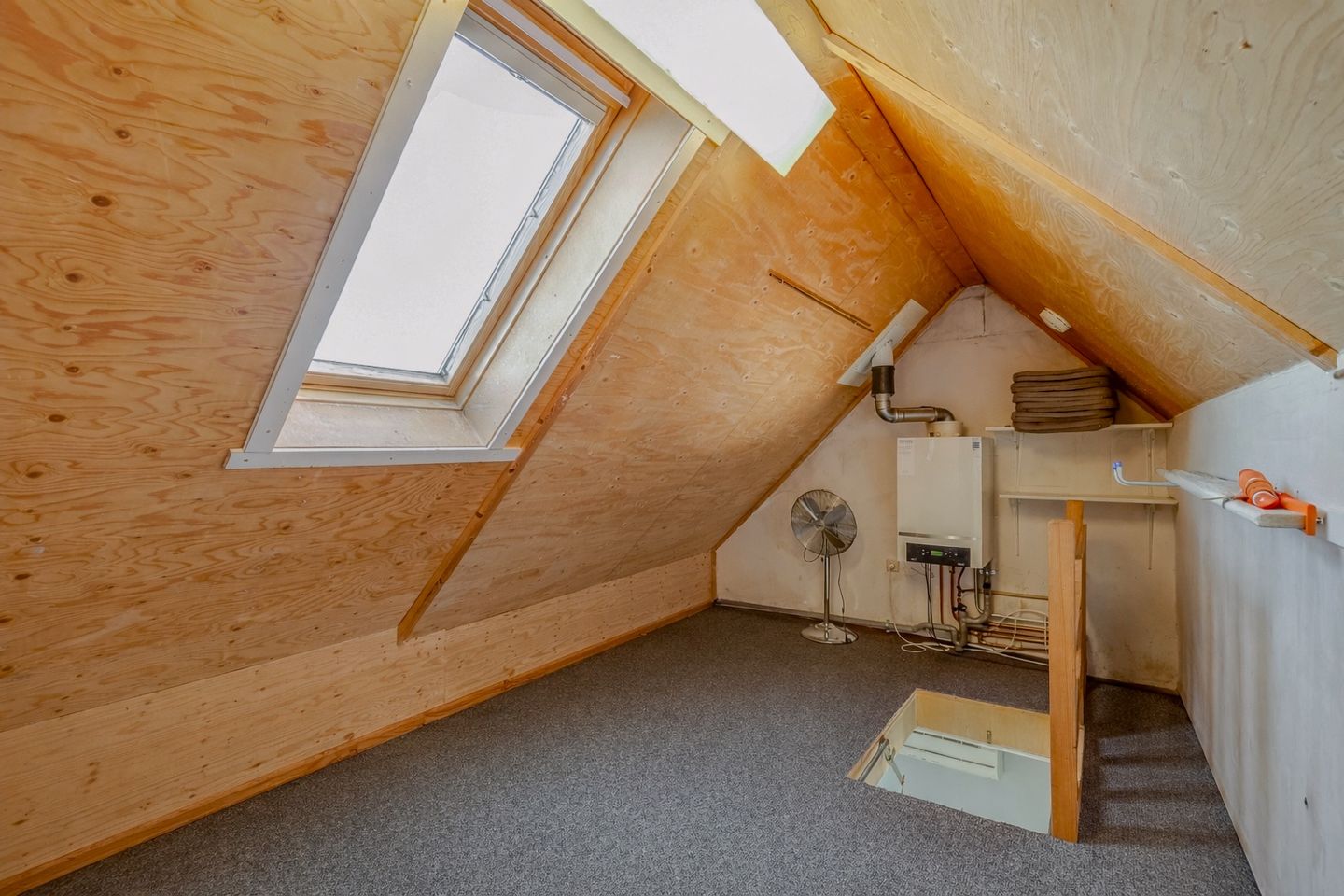 Foto 20 van Nieuwland 54