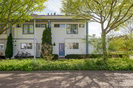 Dr. Martinus van der Stoelstraat thumbnail