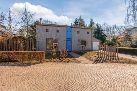 undefined main image