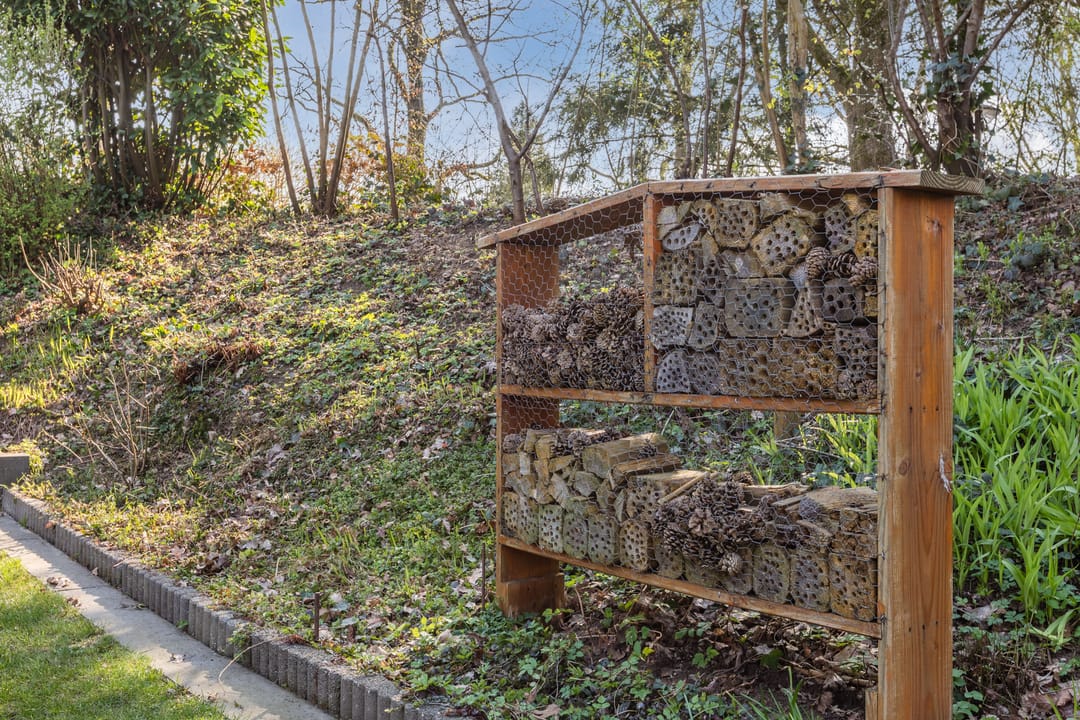 Foto 38 van Kouwenberg 92