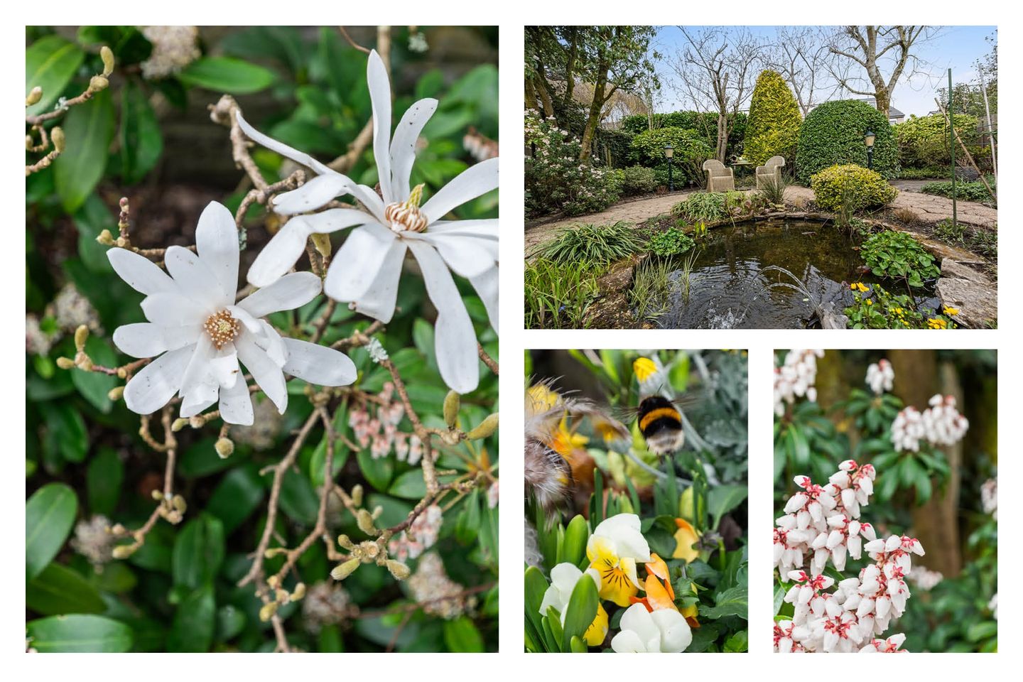 Foto 44 van Dokter Van Haeringenplantsoen 21