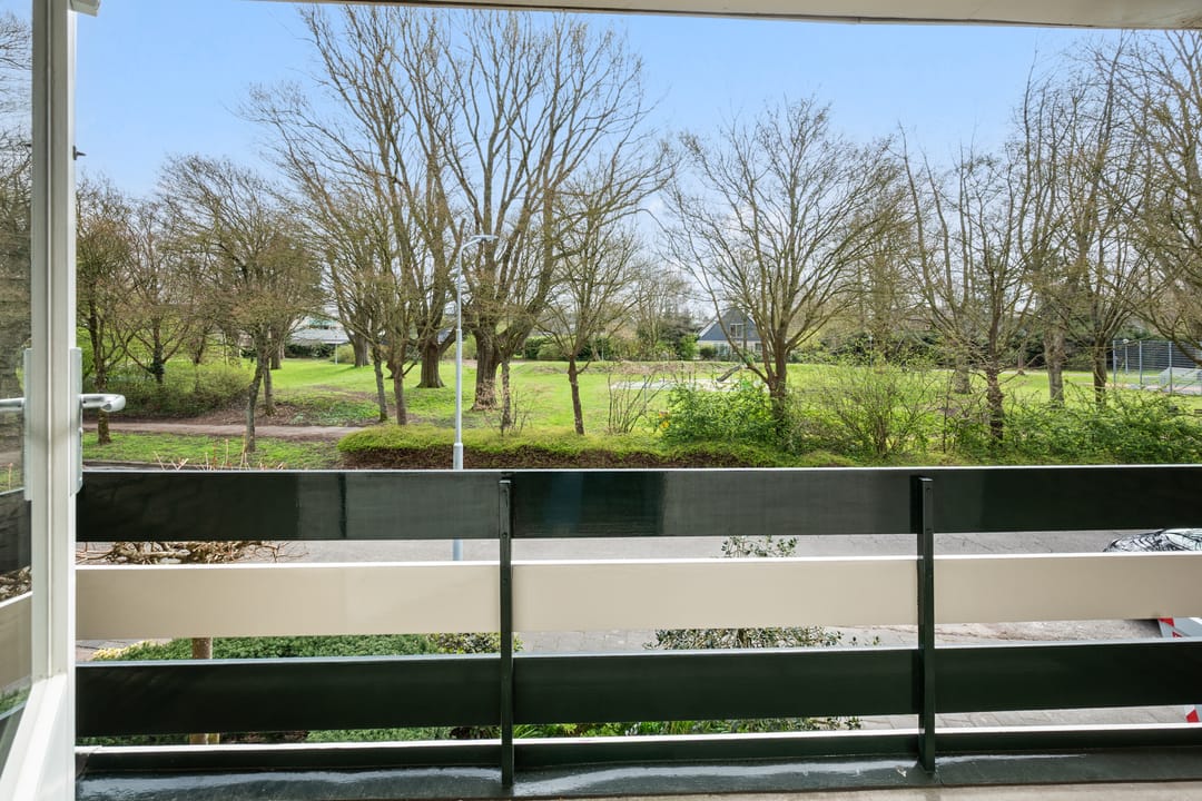 Foto 23 van Dokter Van Haeringenplantsoen 21