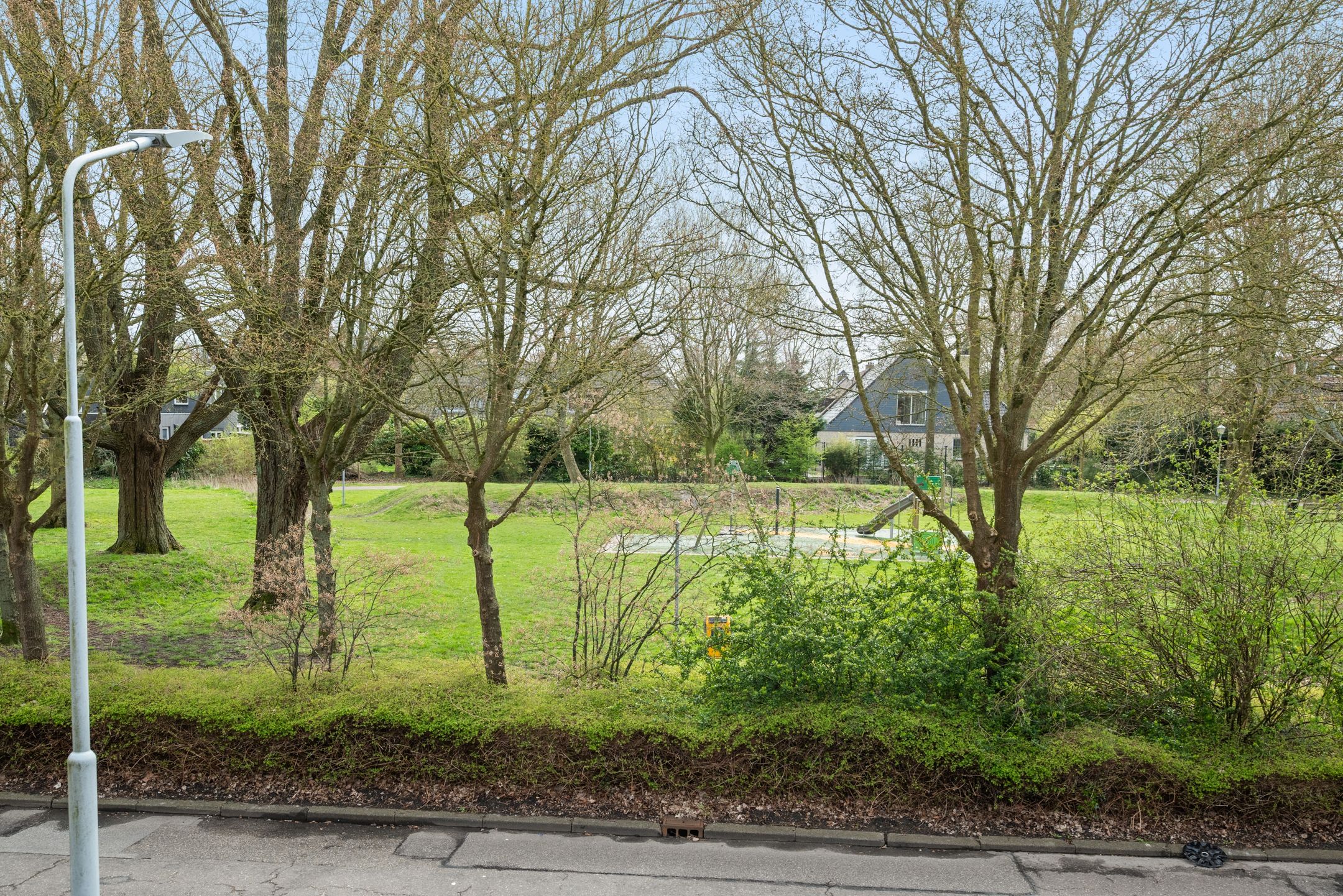 Foto 48 van Dokter Van Haeringenplantsoen 21