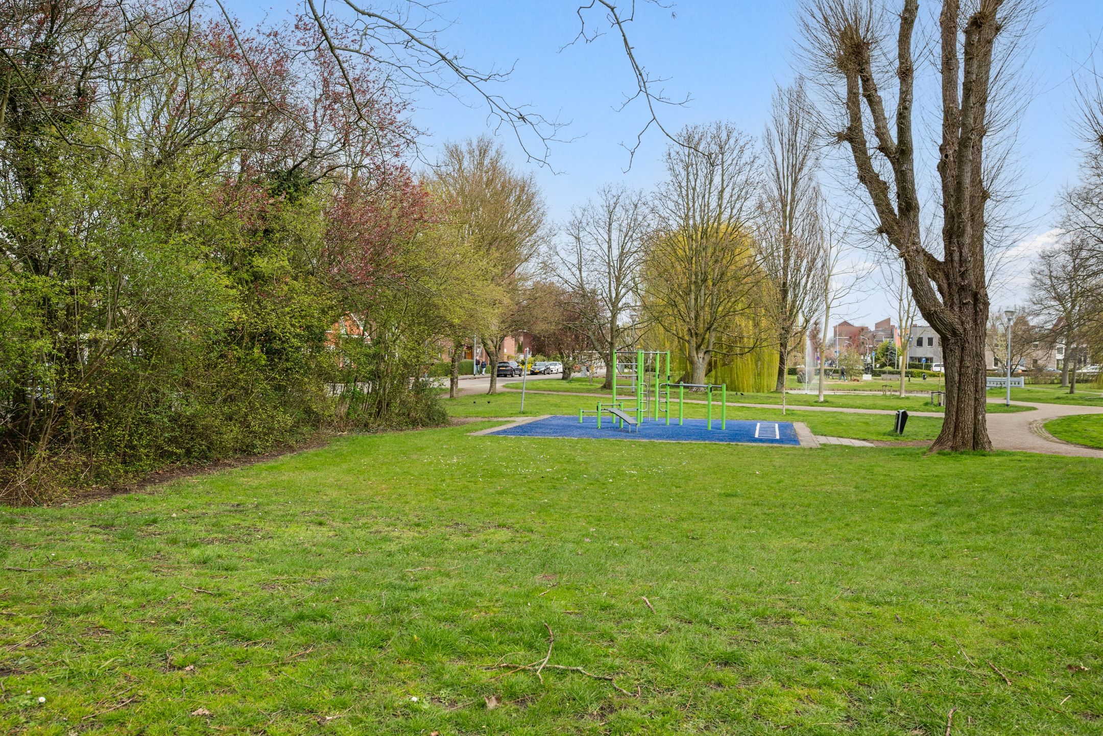 Foto 57 van Dokter Van Haeringenplantsoen 21