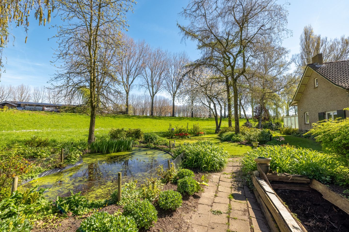 Foto 49 van Rondeweg 2