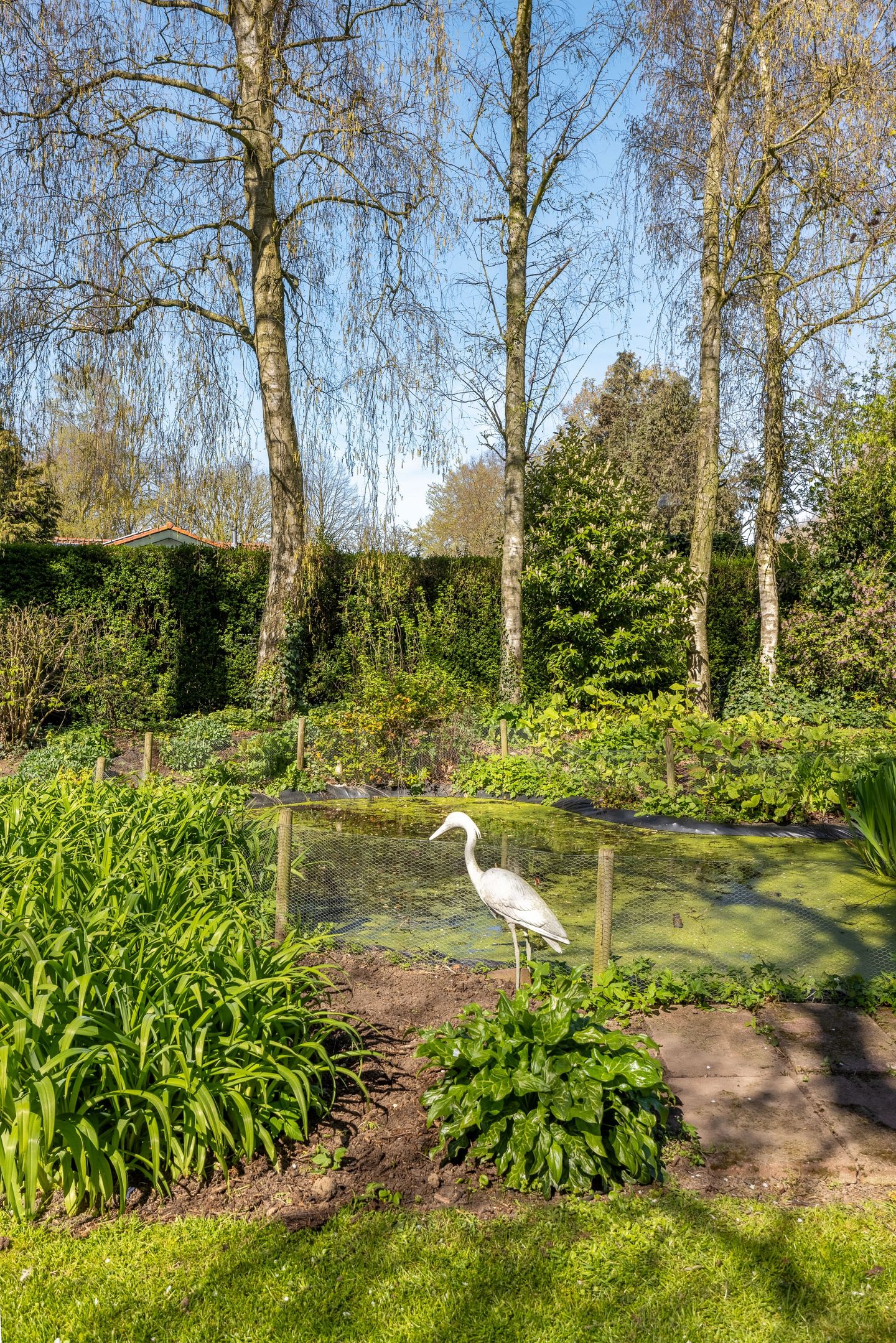 Foto 50 van Rondeweg 2