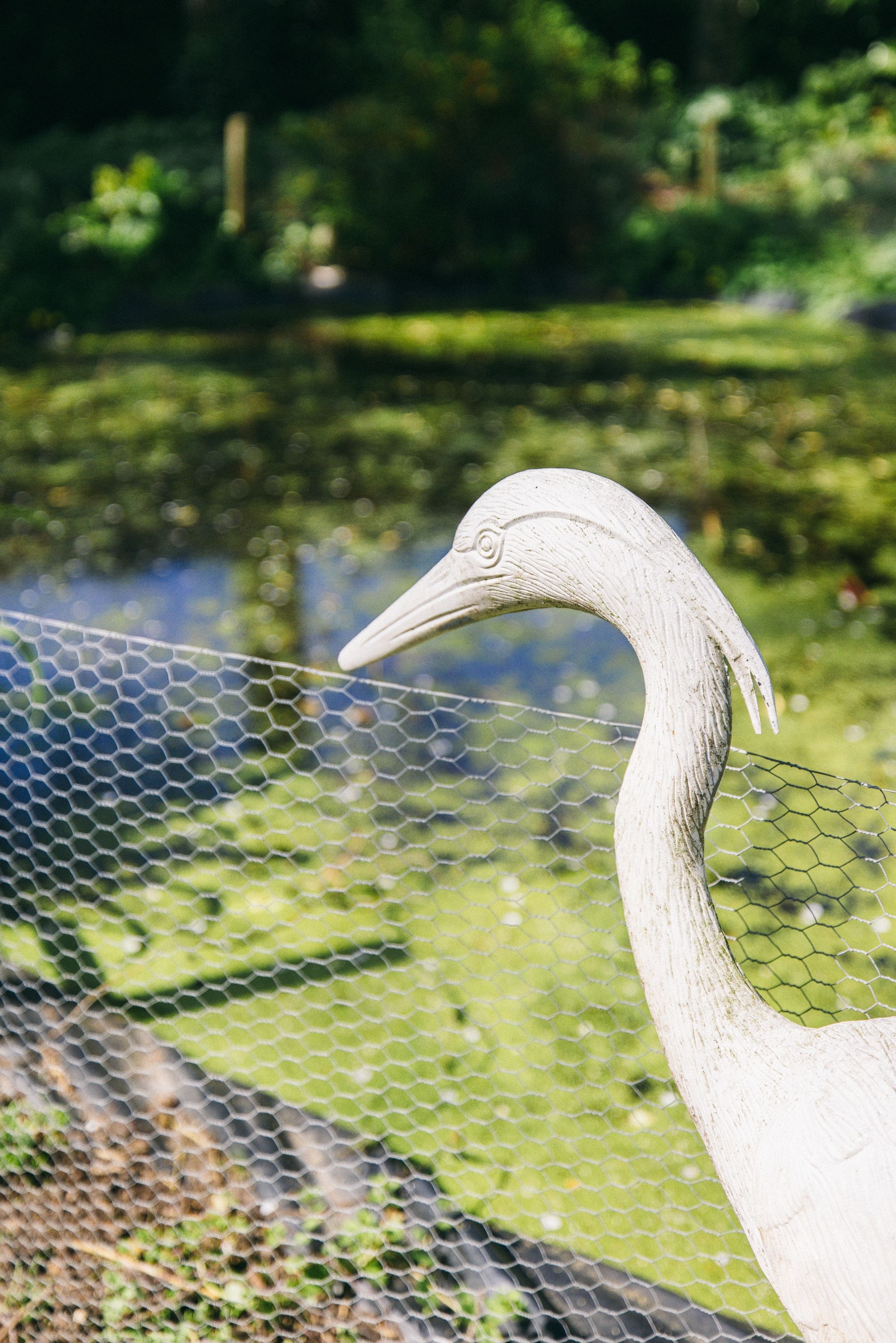 Foto 51 van Rondeweg 2