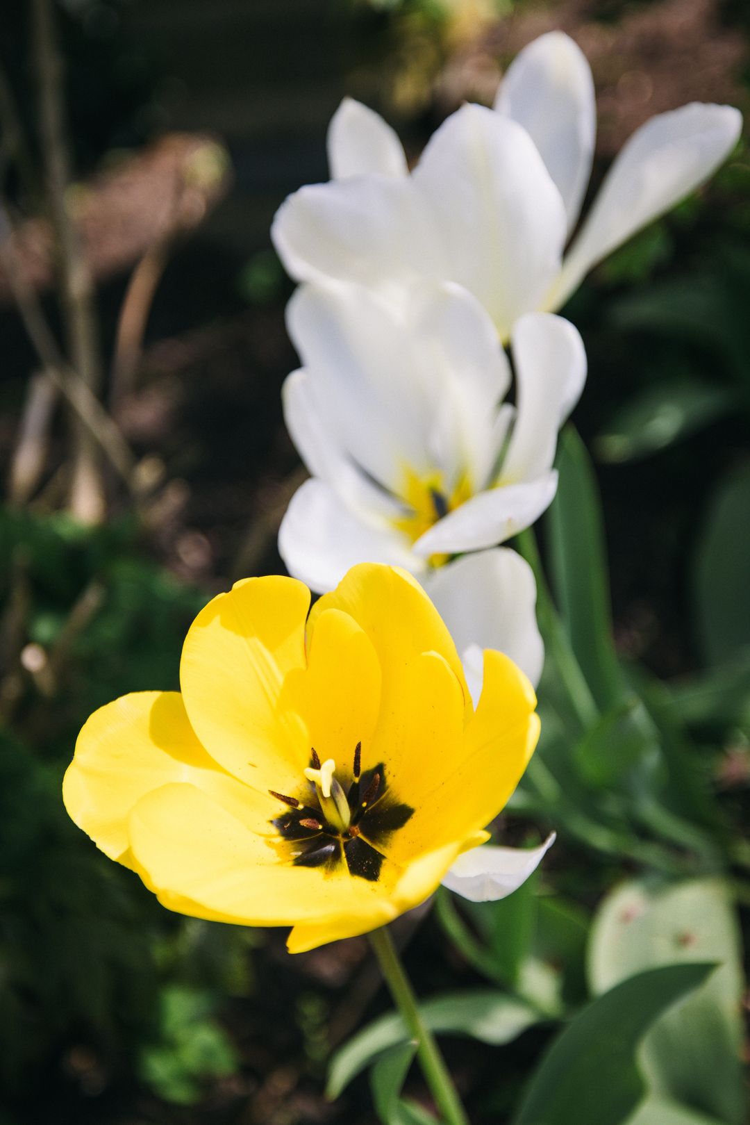 Foto 58 van Rondeweg 2