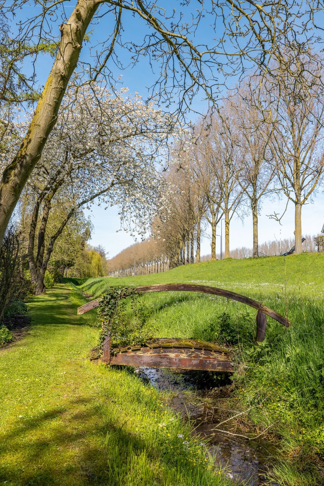 Foto 53 van Rondeweg 2