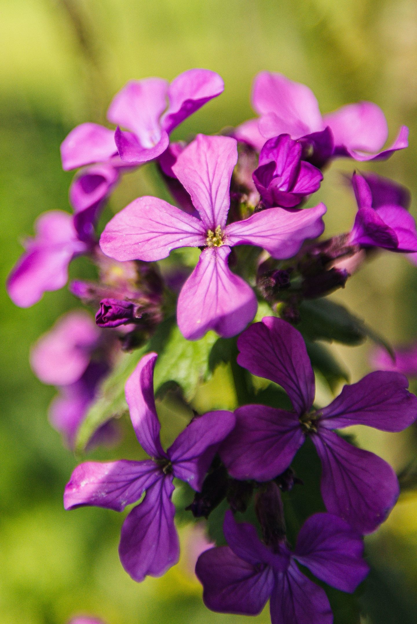 Foto 59 van Rondeweg 2