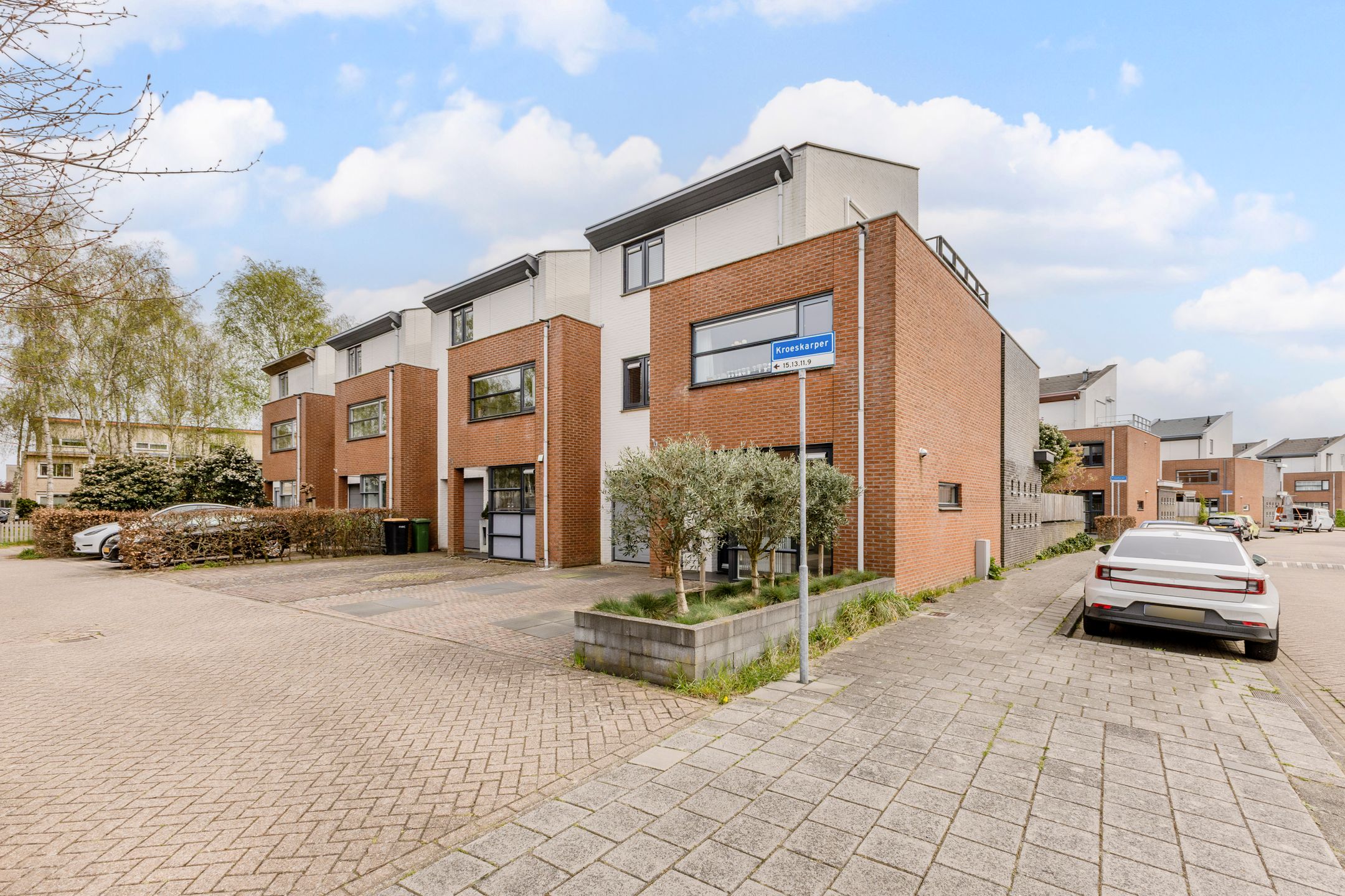 Foto 33 van Kroeskarper 15