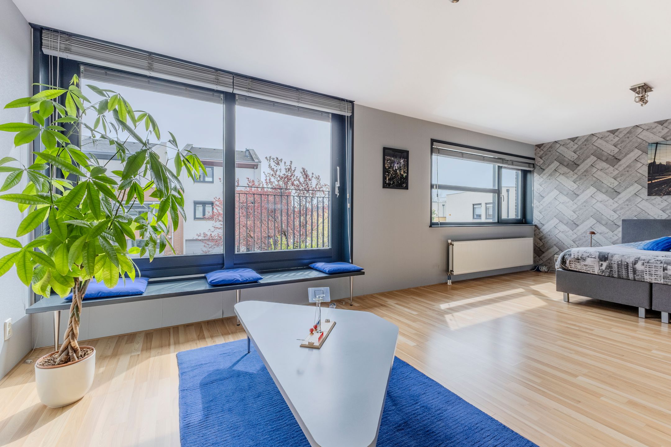 Foto 15 van Kroeskarper 15