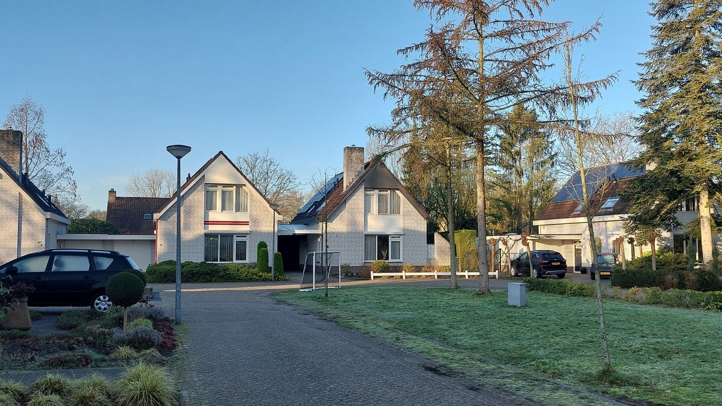 Photo 35 of Willinkhof 9