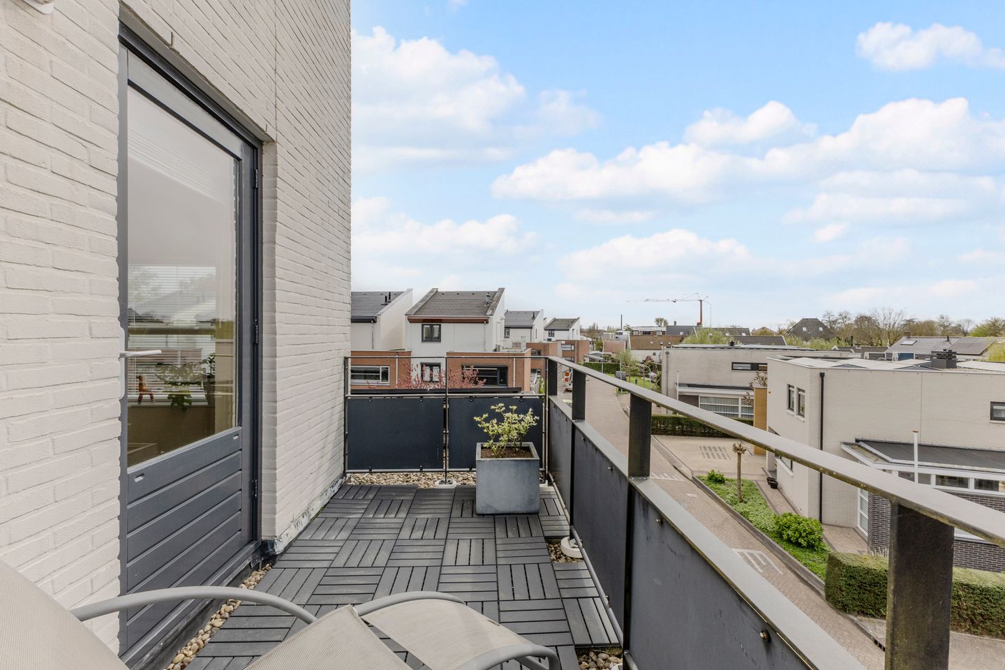 Foto 25 van Kroeskarper 15