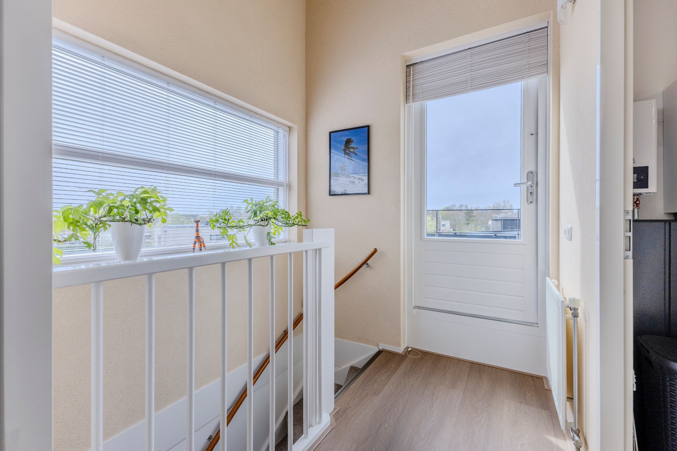 Foto 24 van Kroeskarper 15