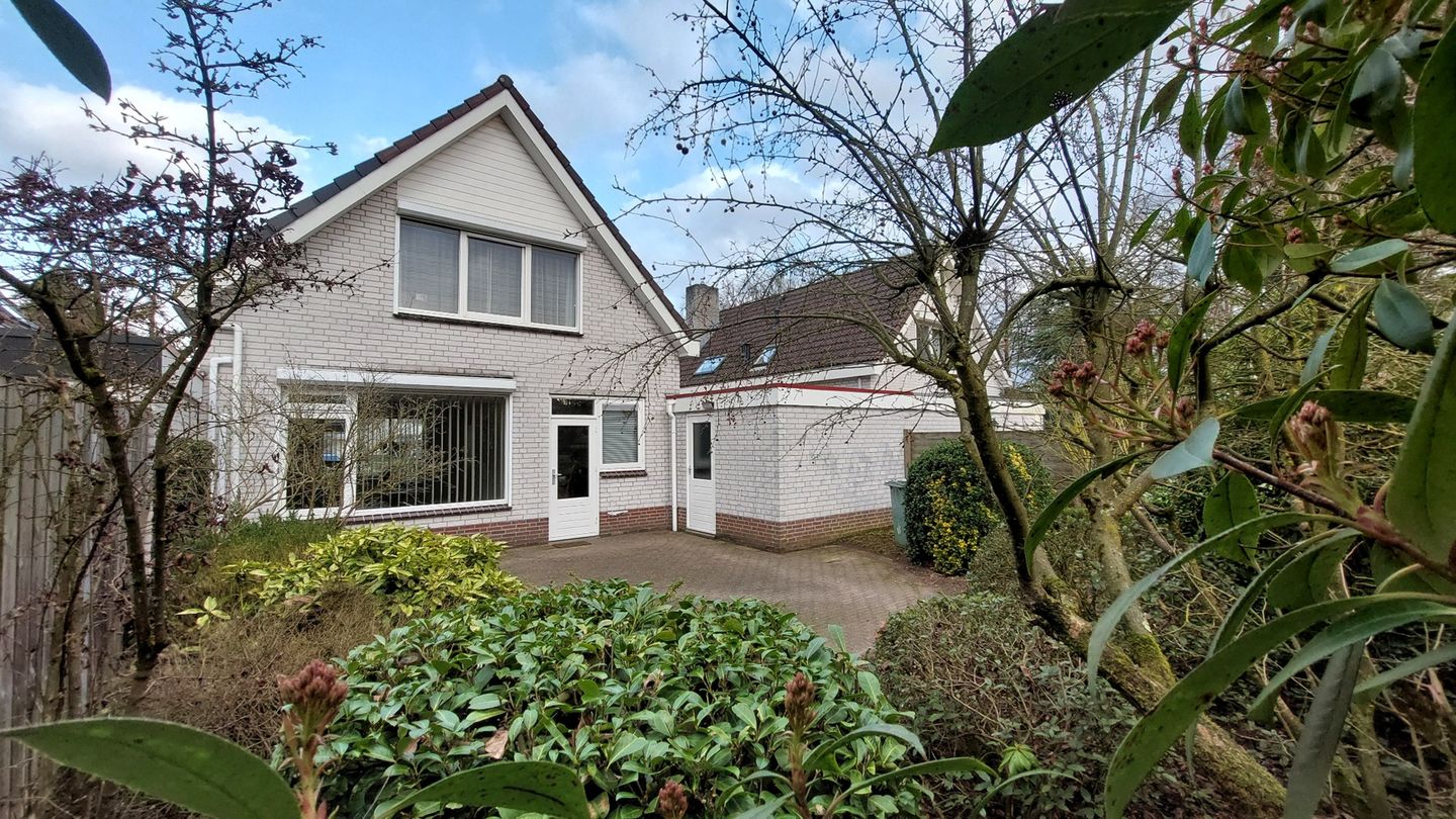 Photo 34 of Willinkhof 9