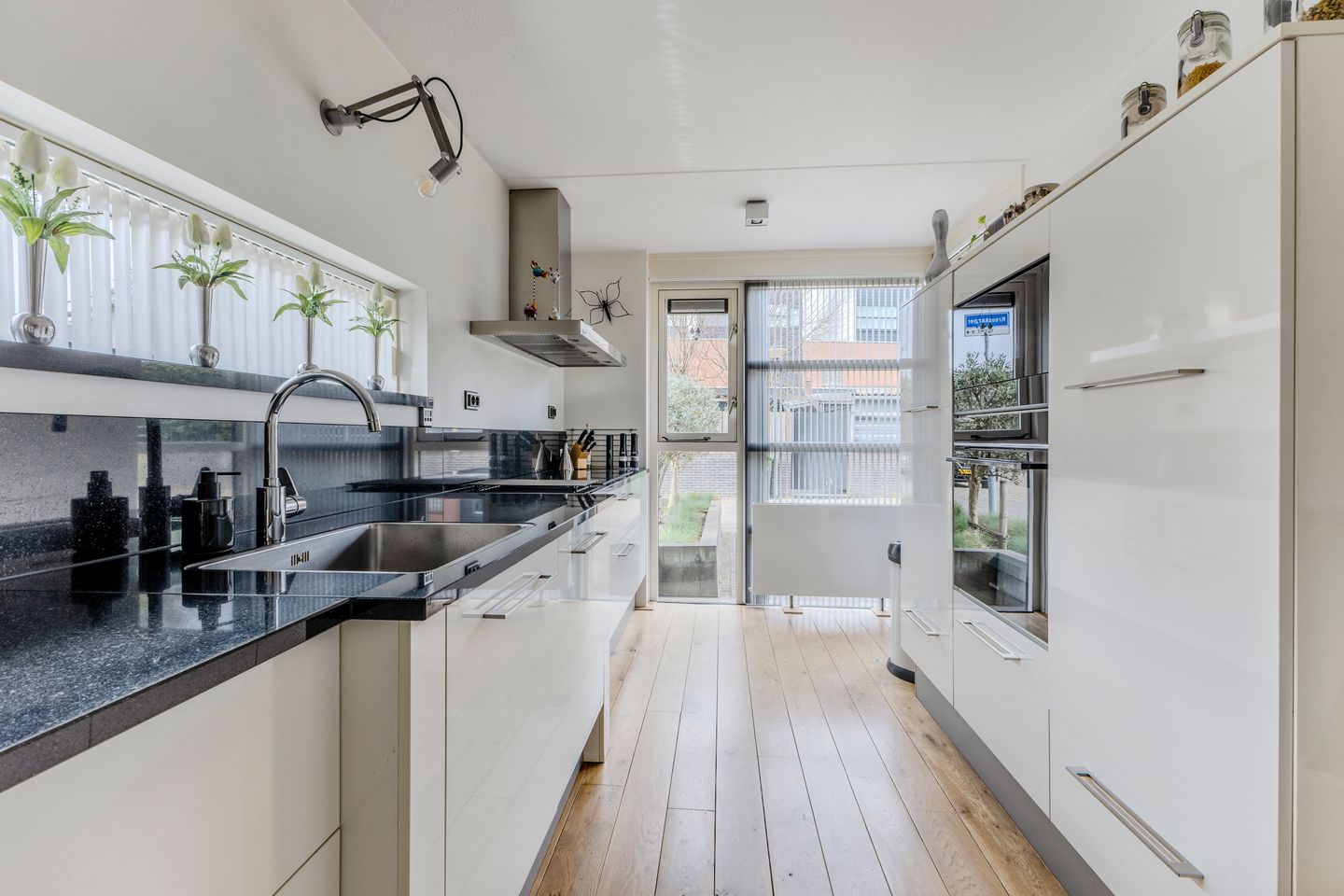 Foto 5 van Kroeskarper 15