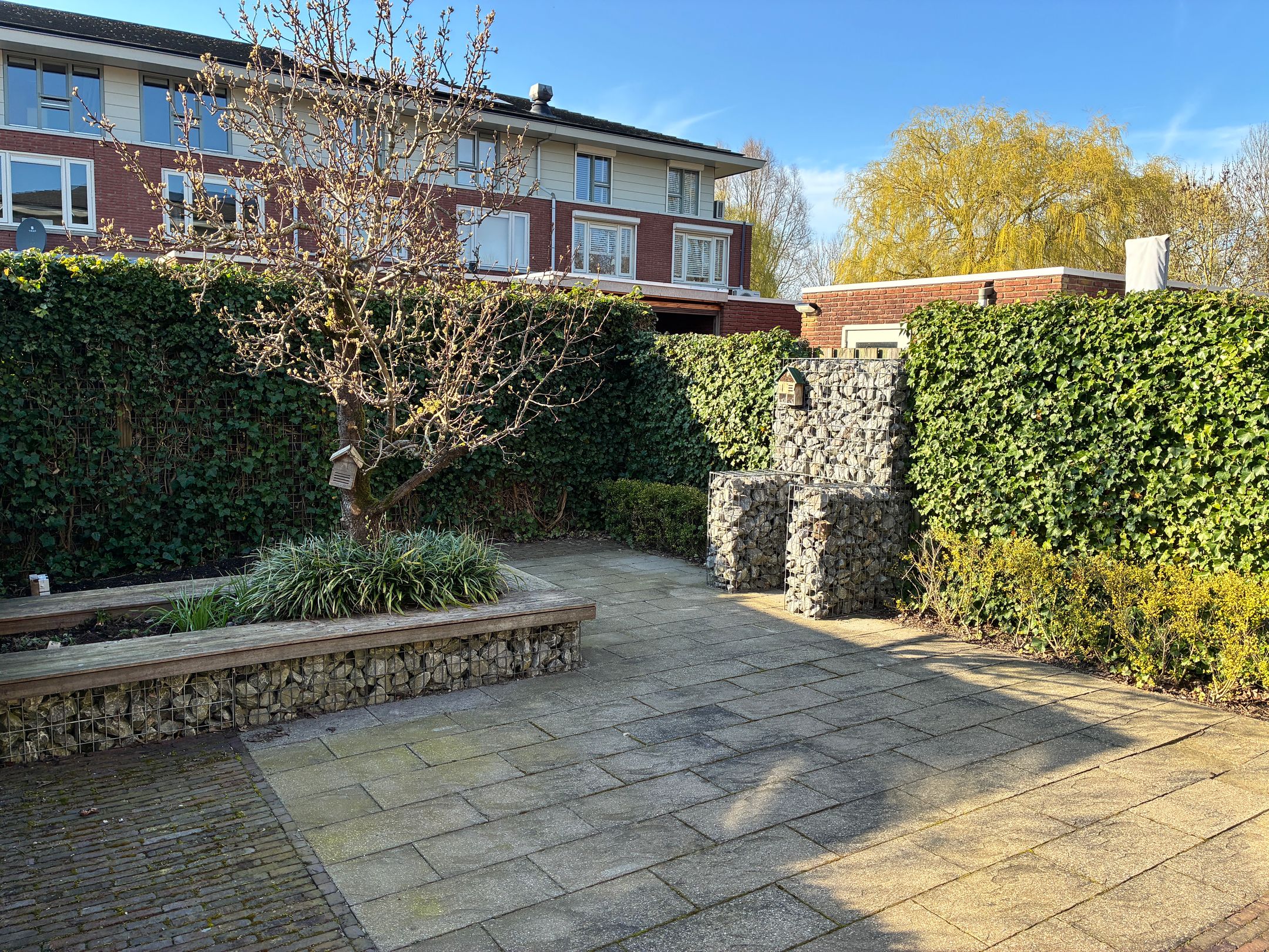 Foto 9 van Renate Rubinsteinlaan 6