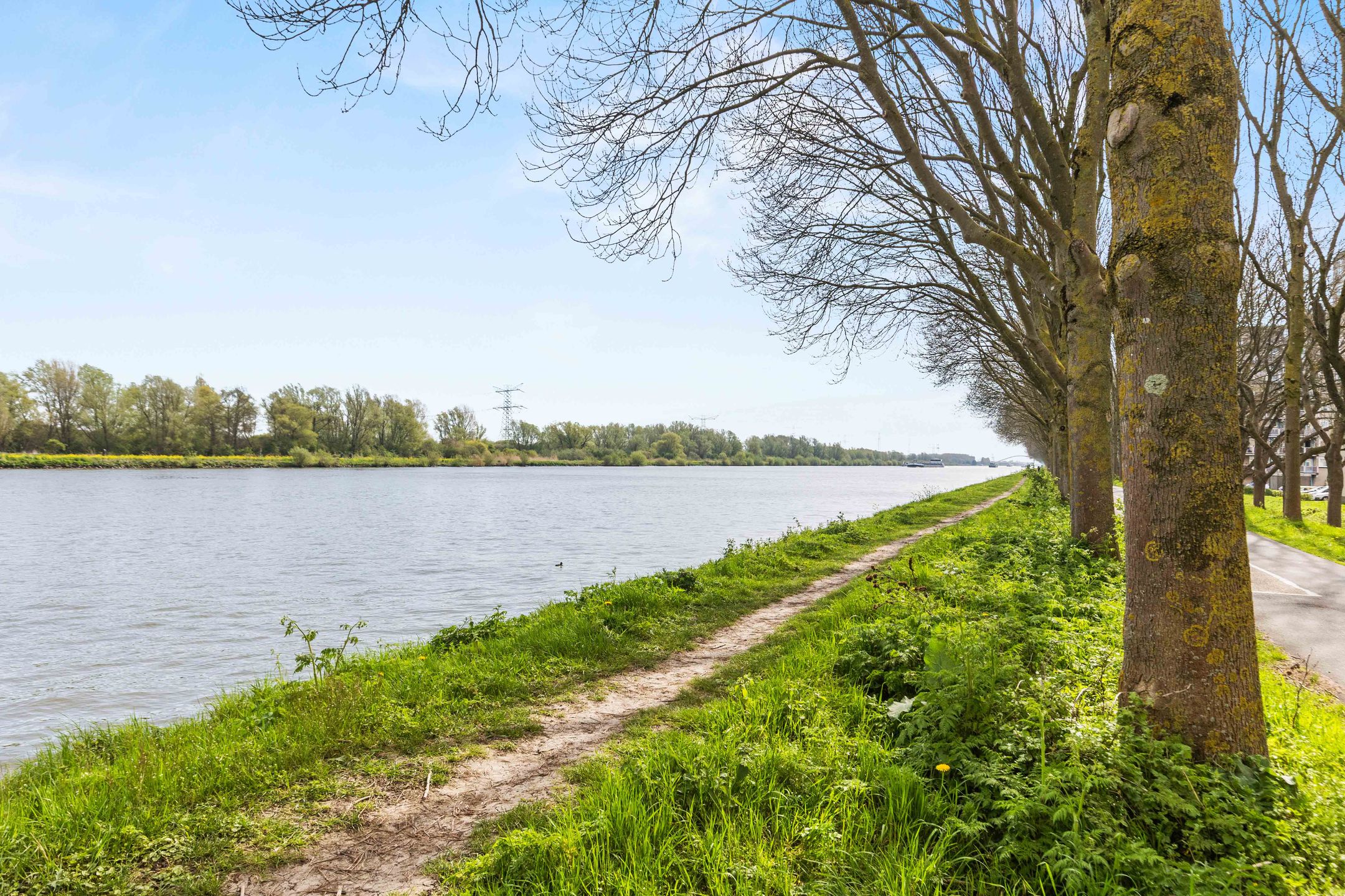 Foto 30 van Meerkoet 45