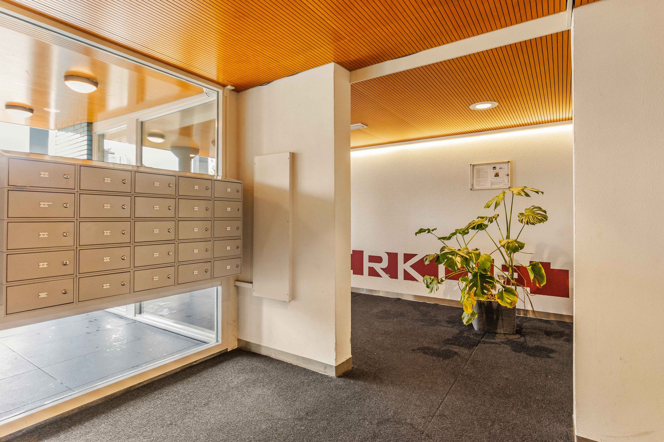 Foto 27 van Meerkoet 45