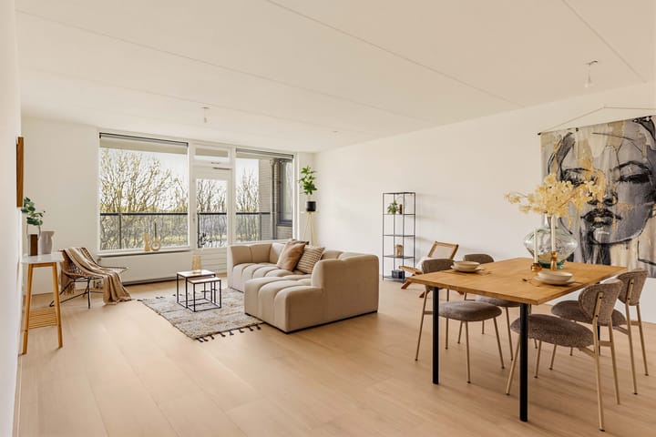 Foto 2 van Meerkoet 45