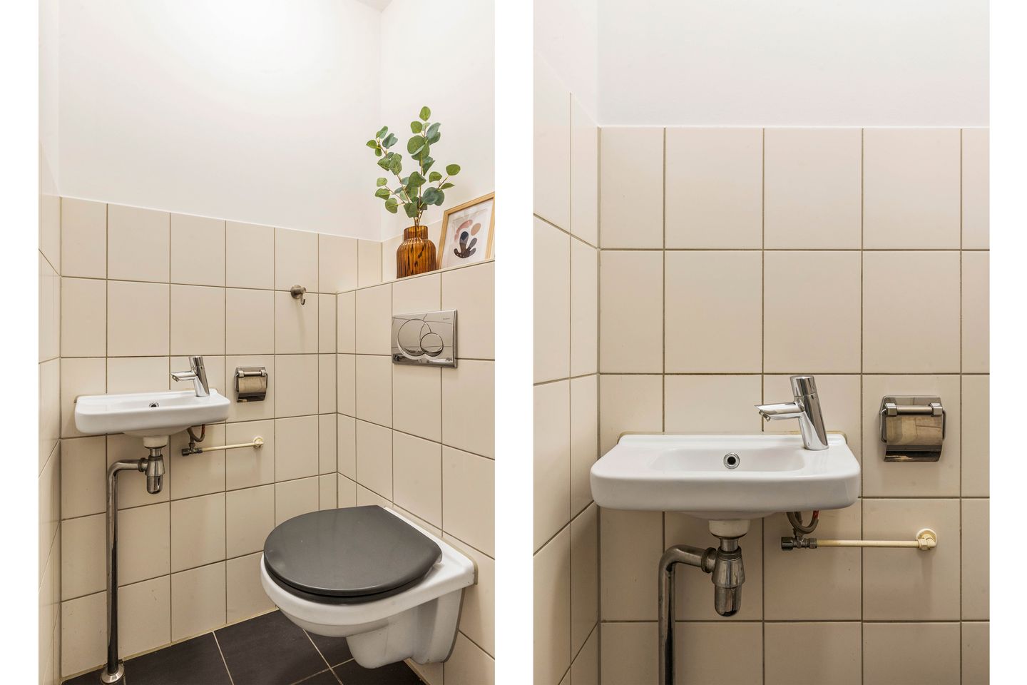 Foto 25 van Meerkoet 45