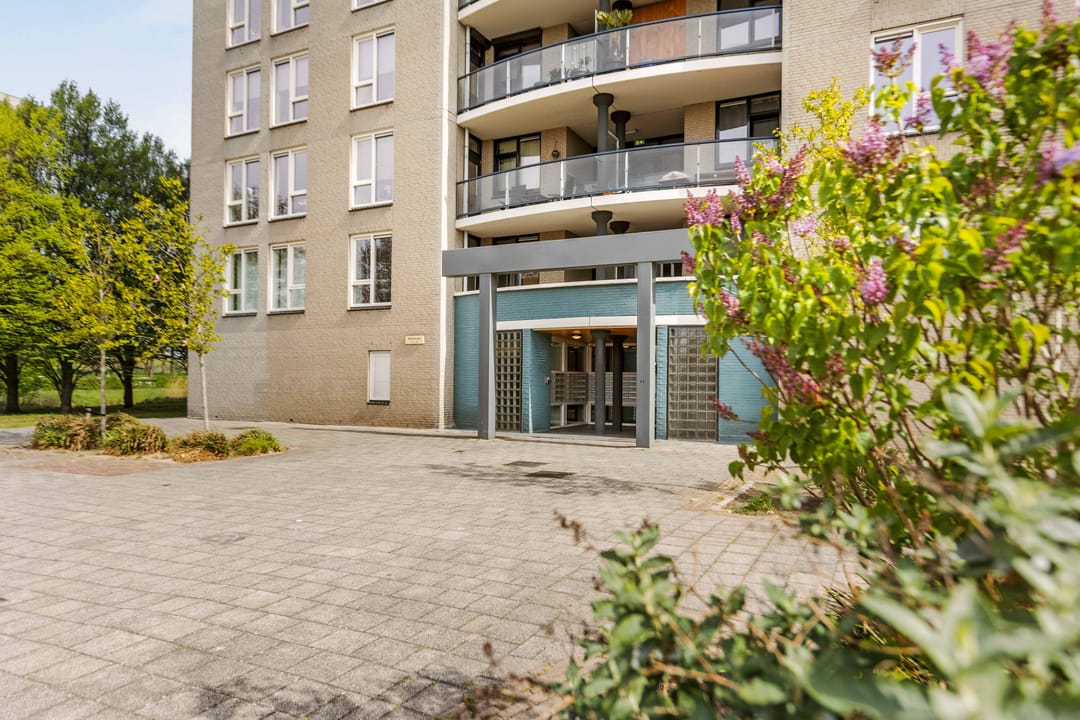 Foto 28 van Meerkoet 45