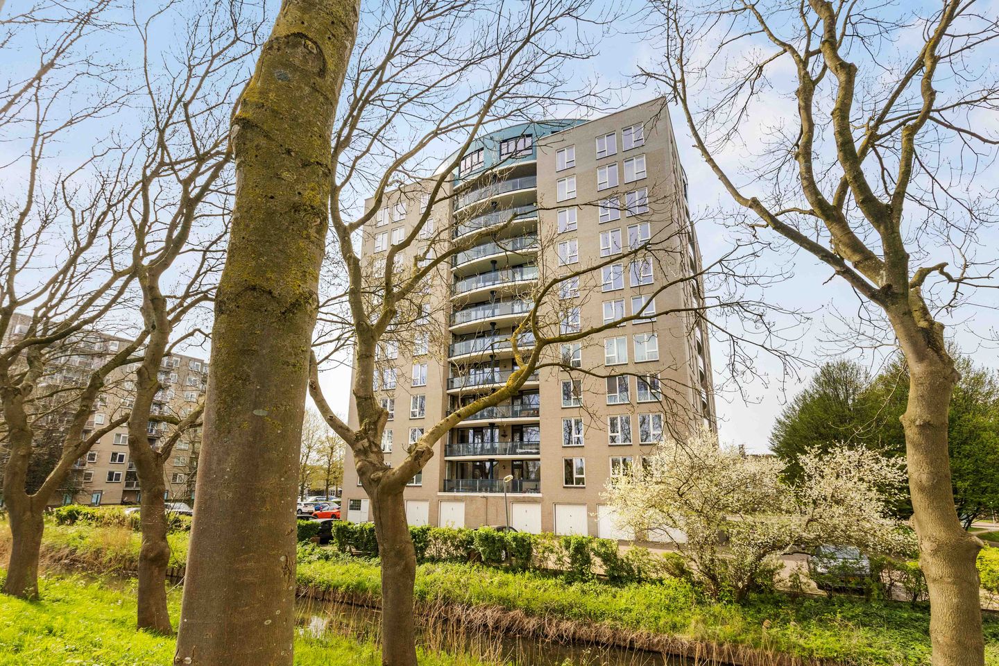 Foto 29 van Meerkoet 45