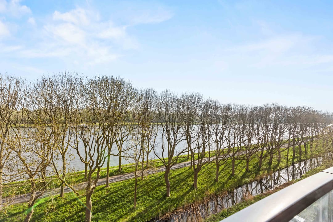 Foto 7 van Meerkoet 45