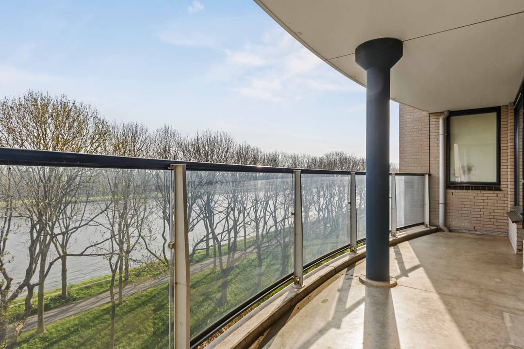 Foto 8 van Meerkoet 45