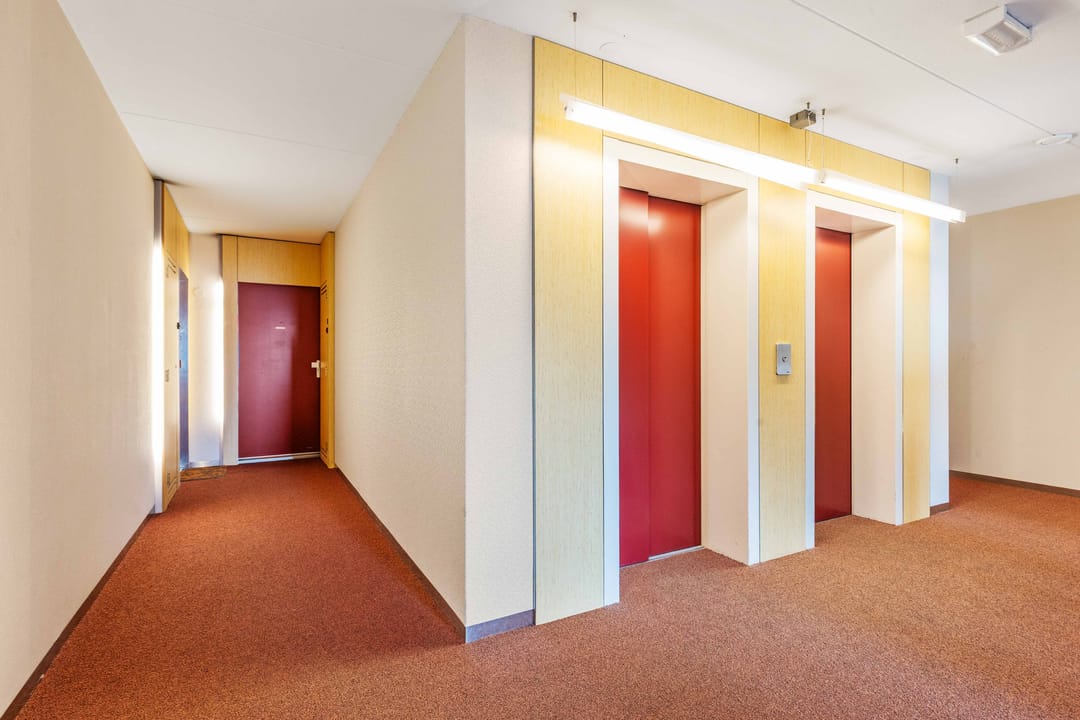 Foto 26 van Meerkoet 45