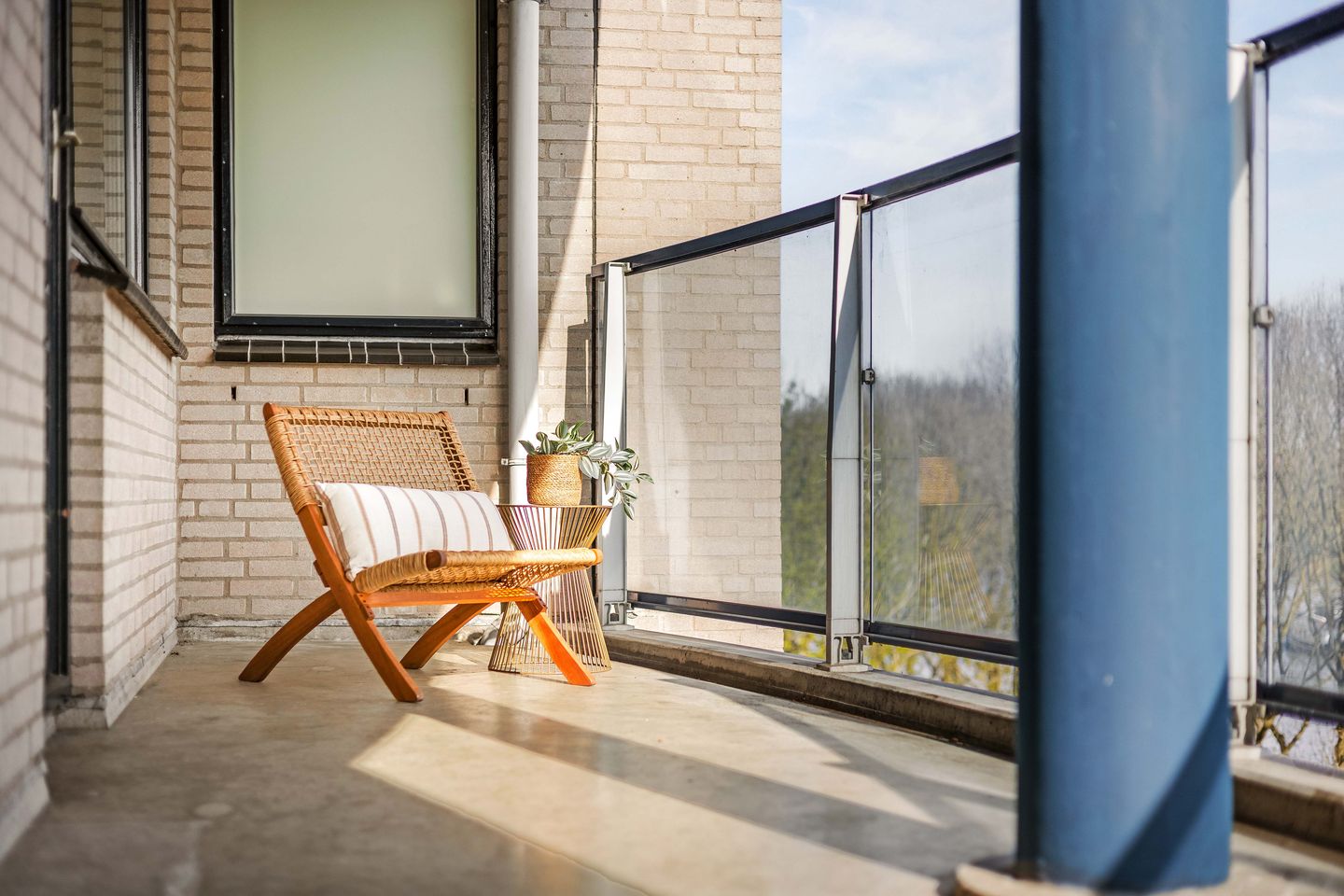 Foto 5 van Meerkoet 45