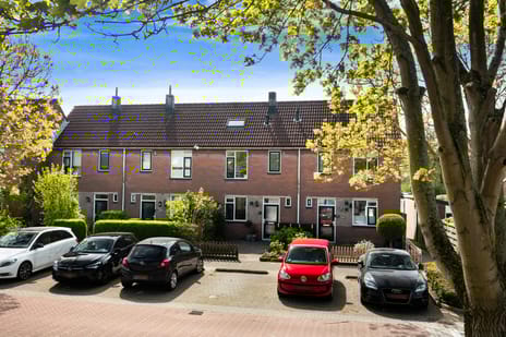 Scholekster thumbnail