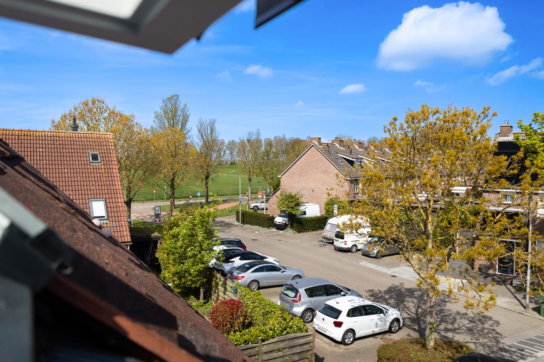 Foto 32 van Scholekster 41