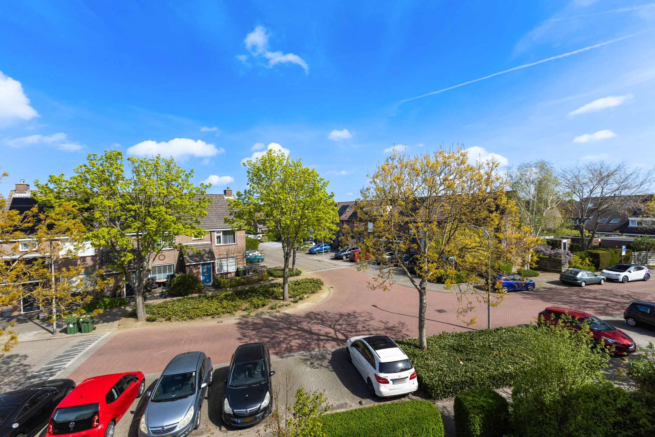 Foto 33 van Scholekster 41