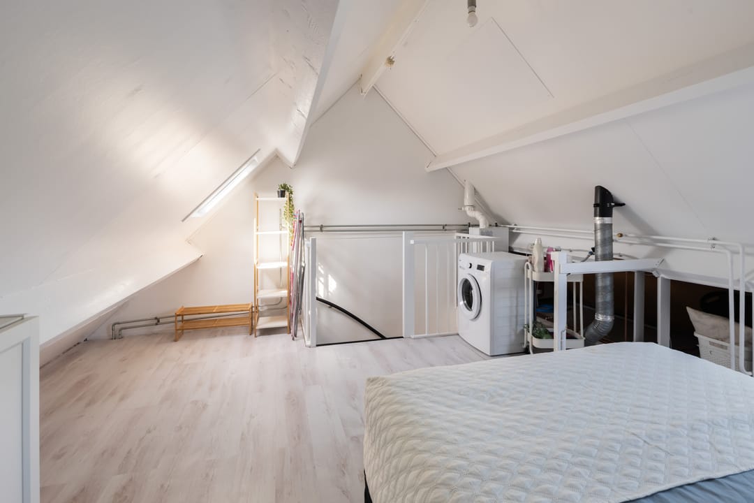 Foto 43 van Scholekster 41