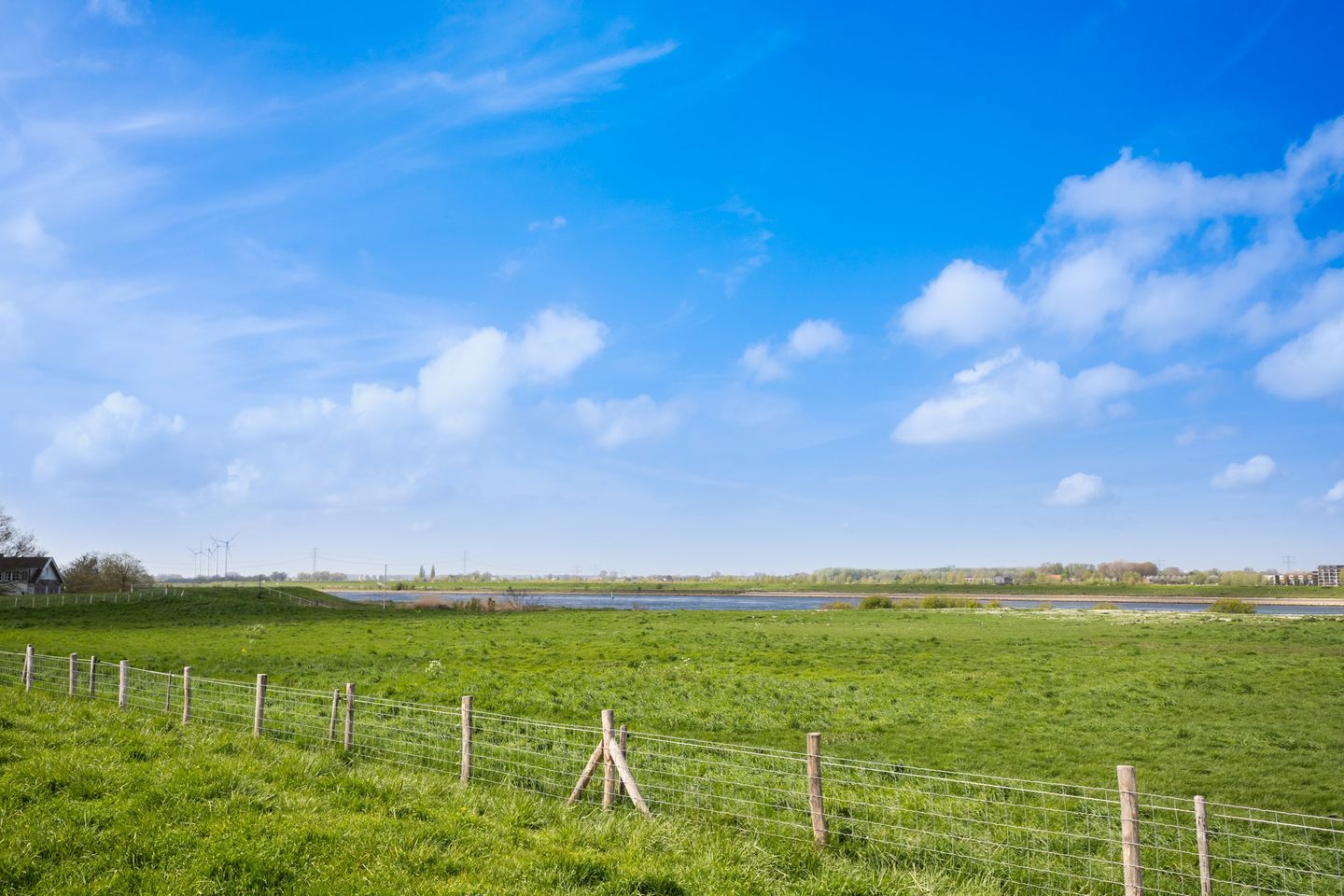 Foto 44 van Scholekster 41